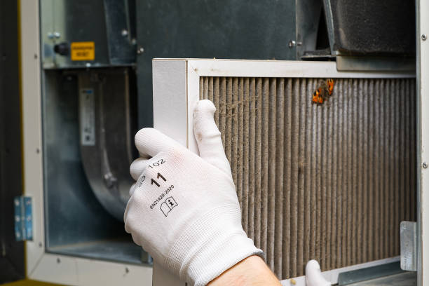 Best Commercial Air Duct Cleaning  in Town N Country, FL